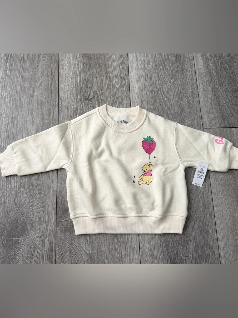 Gap x Disney Baby Vintage Sweatshirt Winnie the Pooh NWT